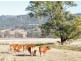 RANNOCH PARK Piallaway Rd, Currabubula NSW 2342