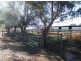 RANNOCH PARK Piallaway Rd, Currabubula NSW 2342