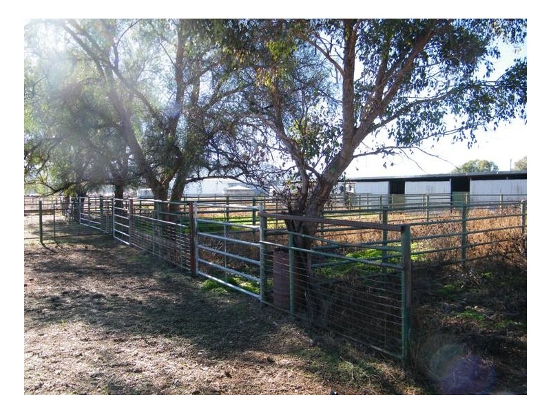 RANNOCH PARK Piallaway Rd, Currabubula NSW 2342