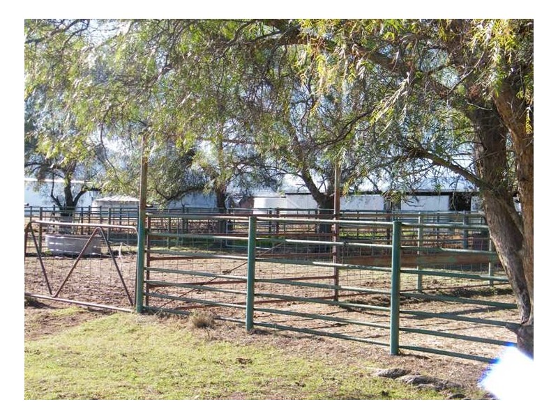 RANNOCH PARK Piallaway Rd, Currabubula NSW 2342
