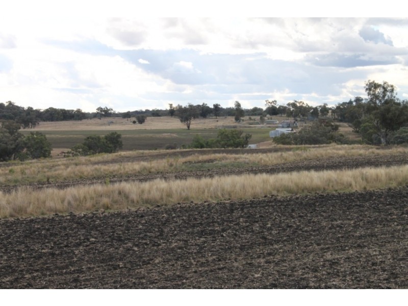 SANDY CREEK Copeton Dam Road, Inverell NSW 2360