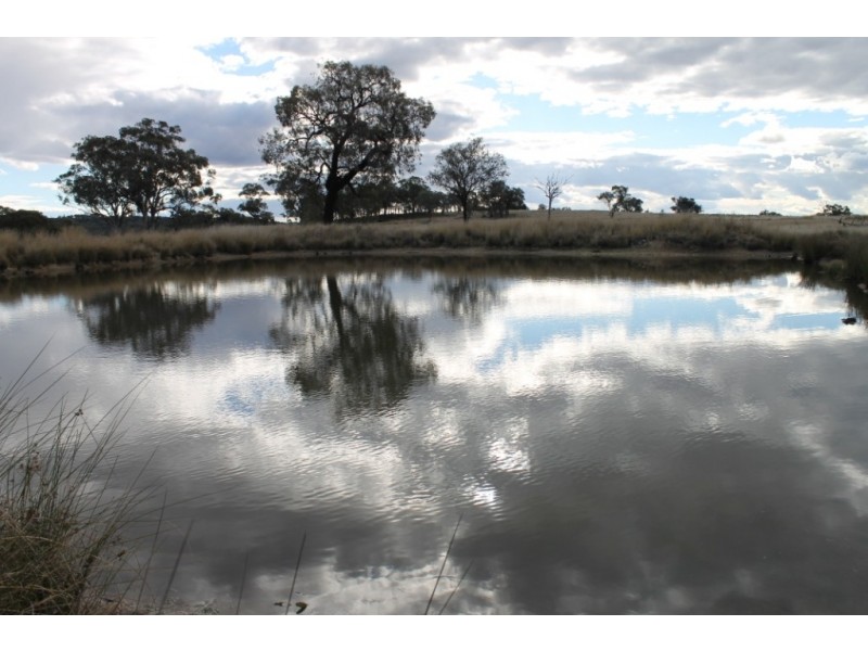 SANDY CREEK Copeton Dam Road, Inverell NSW 2360
