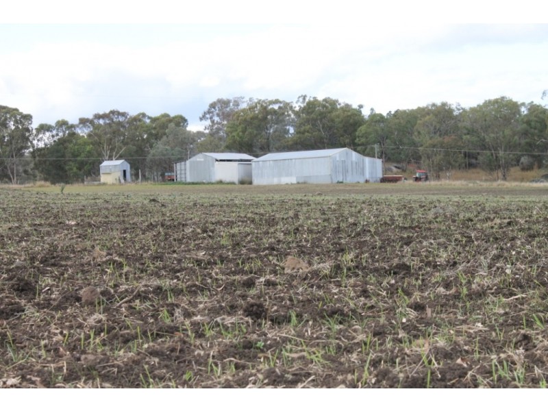 SANDY CREEK Copeton Dam Road, Inverell NSW 2360
