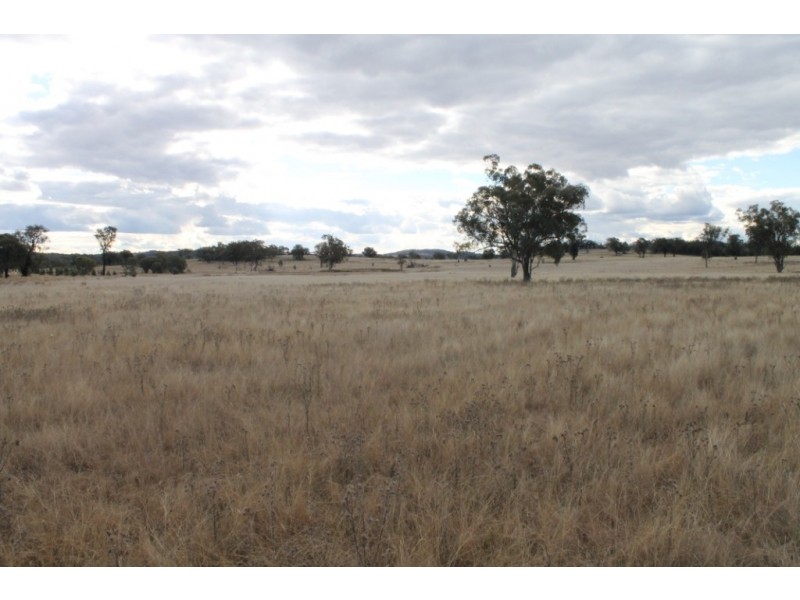 SANDY CREEK Copeton Dam Road, Inverell NSW 2360