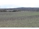 SANDY CREEK Copeton Dam Road, Inverell NSW 2360