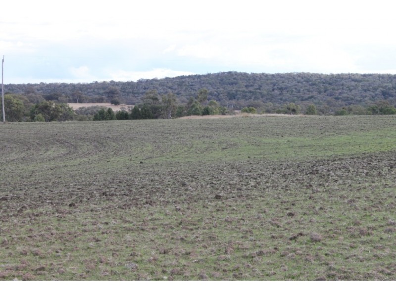 SANDY CREEK Copeton Dam Road, Inverell NSW 2360