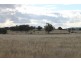 SANDY CREEK Copeton Dam Road, Inverell NSW 2360