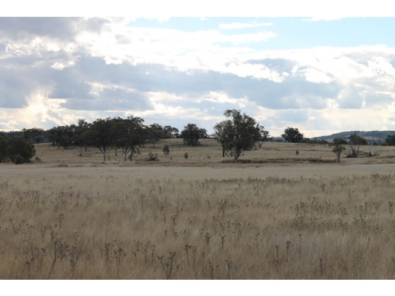 SANDY CREEK Copeton Dam Road, Inverell NSW 2360