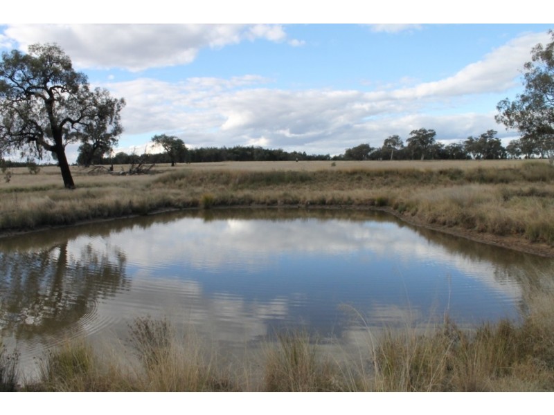 SANDY CREEK Copeton Dam Road, Inverell NSW 2360
