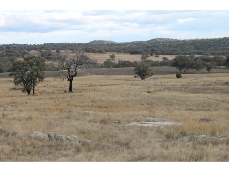 SANDY CREEK Copeton Dam Road, Inverell NSW 2360