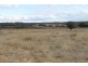 SANDY CREEK Copeton Dam Road, Inverell NSW 2360