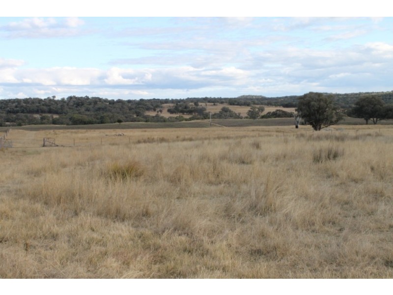 SANDY CREEK Copeton Dam Road, Inverell NSW 2360
