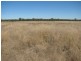 6809 Pilliga Road, Pilliga NSW 2388