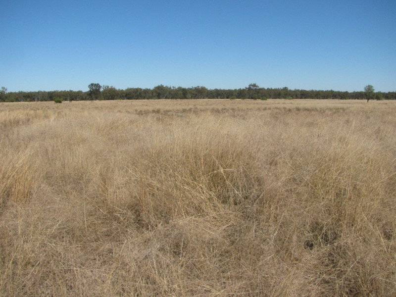 6809 Pilliga Road, Pilliga NSW 2388