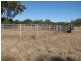 6809 Pilliga Road, Pilliga NSW 2388
