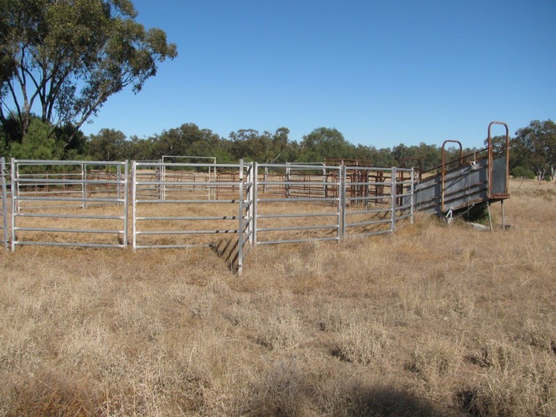 6809 Pilliga Road, Pilliga NSW 2388