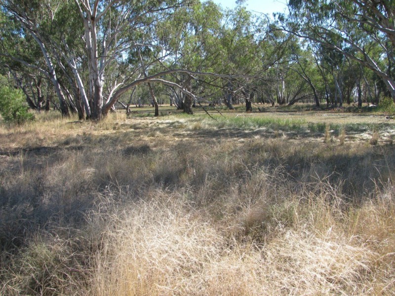 6809 Pilliga Road, Pilliga NSW 2388