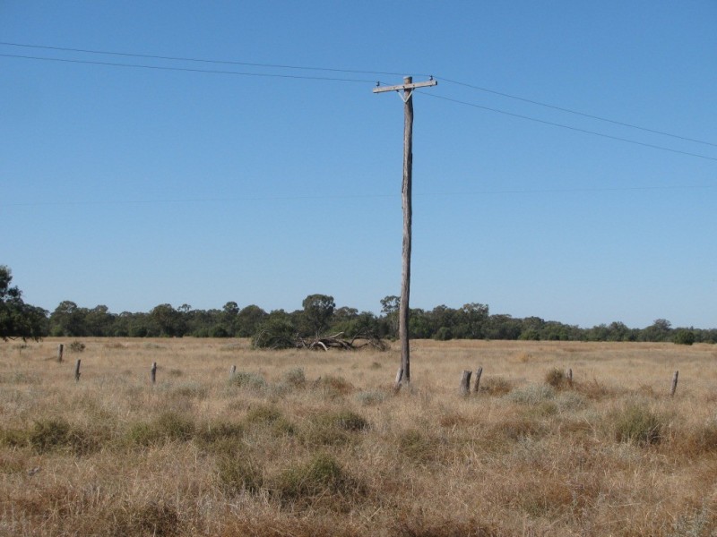 6809 Pilliga Road, Pilliga NSW 2388