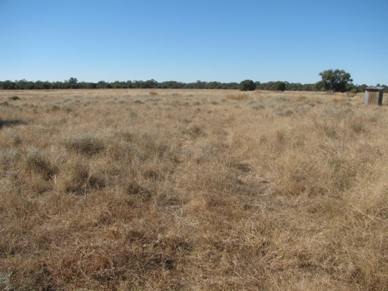 6809 Pilliga Road, Pilliga NSW 2388