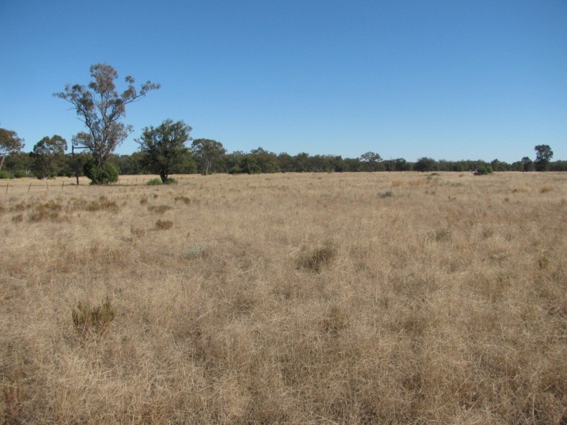 6809 Pilliga Road, Pilliga NSW 2388