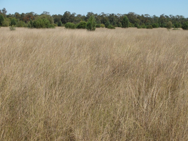 6809 Pilliga Road, Pilliga NSW 2388