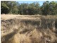 6809 Pilliga Road, Pilliga NSW 2388