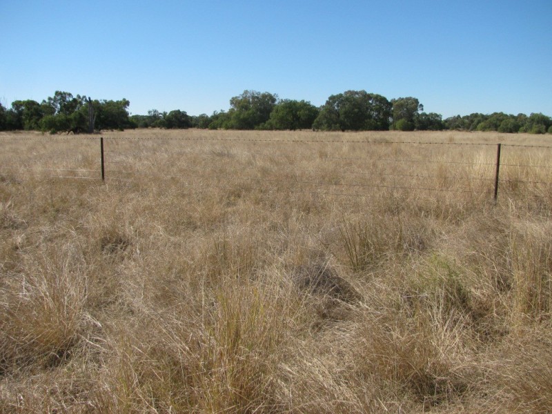 6809 Pilliga Road, Pilliga NSW 2388