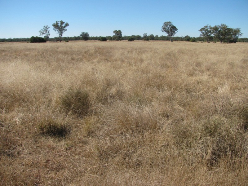 6809 Pilliga Road, Pilliga NSW 2388