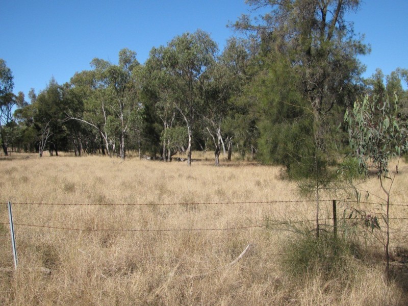 6809 Pilliga Road, Pilliga NSW 2388