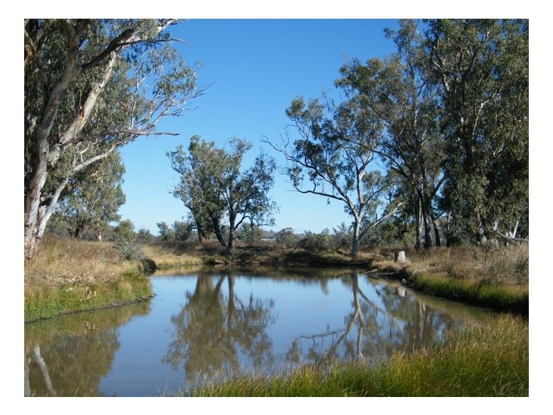 RANNOCH PARK Piallaway Rd, Quirindi NSW 2343