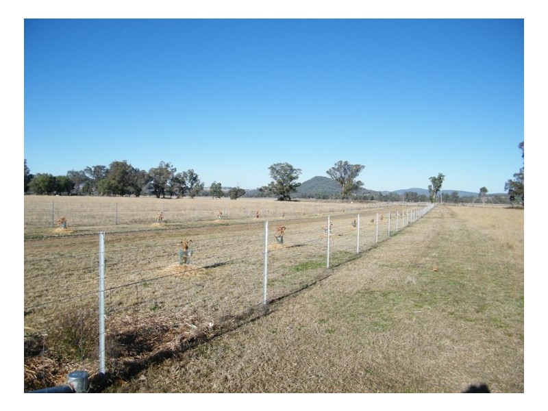 RANNOCH PARK Piallaway Rd, Quirindi NSW 2343