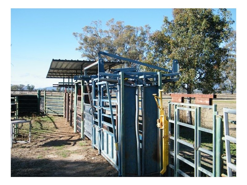 RANNOCH PARK Piallaway Rd, Quirindi NSW 2343