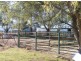 RANNOCH PARK Piallaway Rd, Quirindi NSW 2343