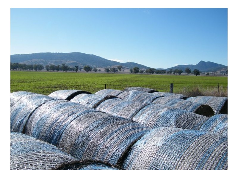 RANNOCH PARK Piallaway Rd, Quirindi NSW 2343