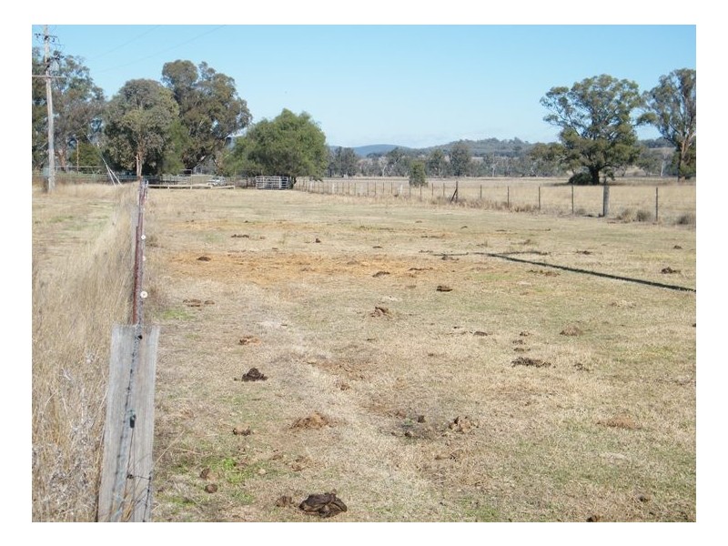 RANNOCH PARK Piallaway Rd, Quirindi NSW 2343