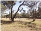 Coonabarabran NSW 2357