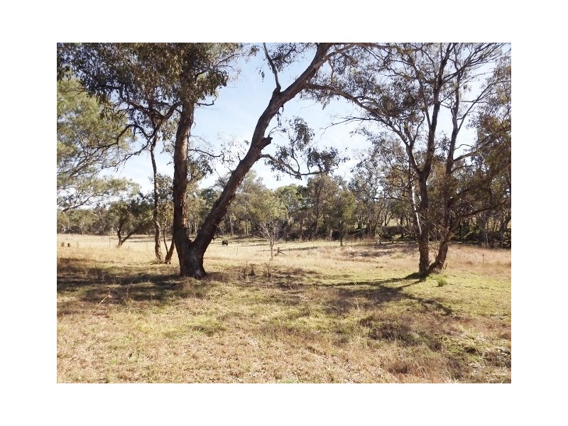 Coonabarabran NSW 2357
