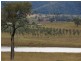 838 Ridgelands Road, Muswellbrook NSW 2333