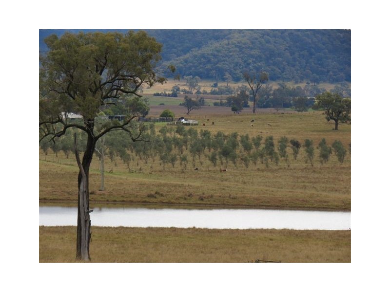 838 Ridgelands Road, Muswellbrook NSW 2333
