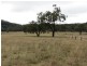 838 Ridgelands Road, Muswellbrook NSW 2333