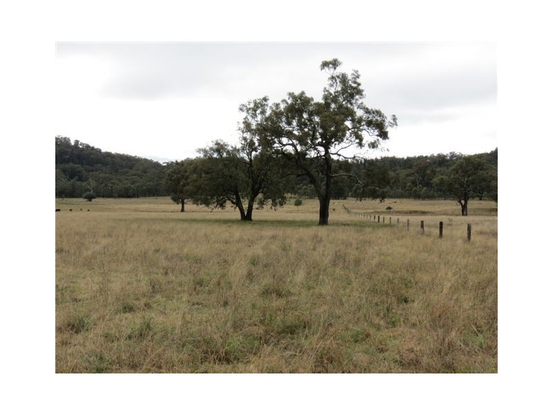 838 Ridgelands Road, Muswellbrook NSW 2333