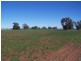 214 Hando’s Road, Tomingley NSW 2869