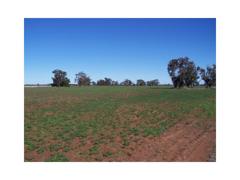 214 Hando’s Road, Tomingley NSW 2869