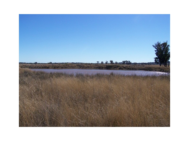 214 Hando’s Road, Tomingley NSW 2869
