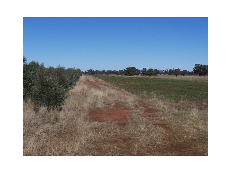 214 Hando’s Road, Tomingley NSW 2869