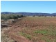 214 Hando’s Road, Tomingley NSW 2869