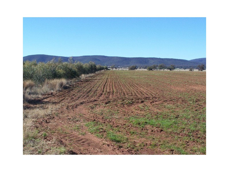214 Hando’s Road, Tomingley NSW 2869