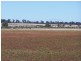 214 Hando’s Road, Tomingley NSW 2869