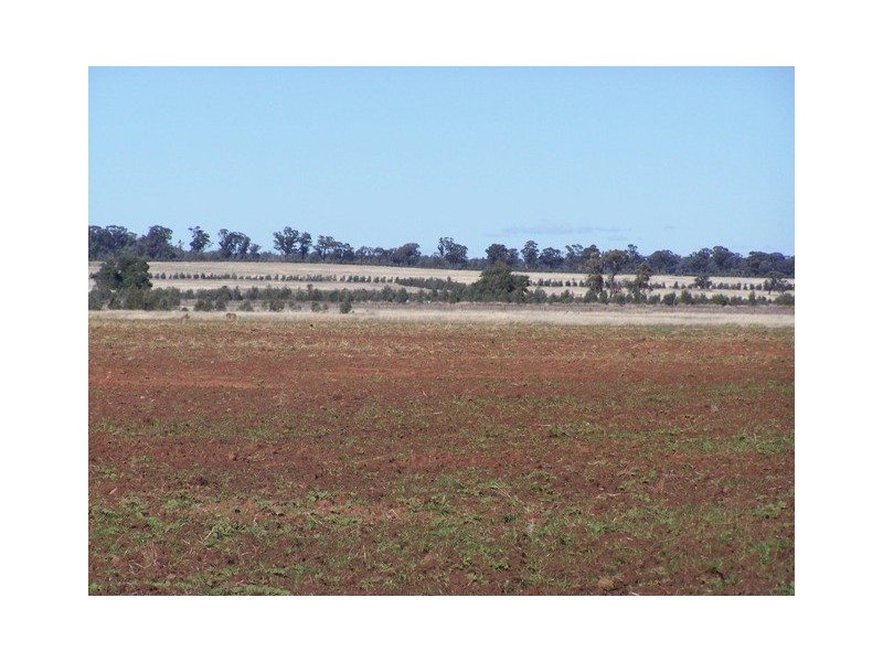 214 Hando’s Road, Tomingley NSW 2869