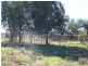 214 Hando’s Road, Tomingley NSW 2869